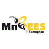 MnBees Tozeur - Tamaghza