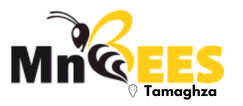 MnBees Tozeur - Tamaghza